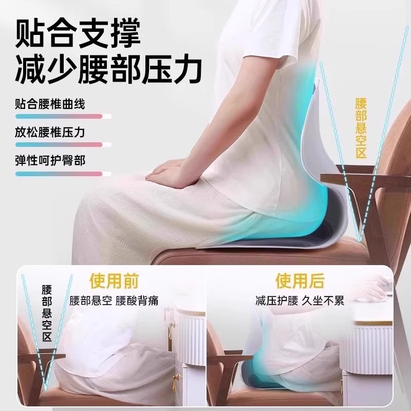 Coussin de soutien lombaire er - Home Office Student avis et prix
